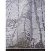 Ковер Armina 03752A GREY / GREY